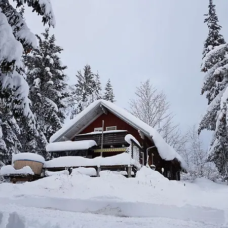Caravan Cabin Modern Retreat